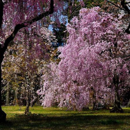 京都市Close to Golden temple 金閣寺アパートメント エクステリア 写真